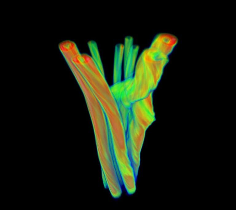 CT scan of a Sharge USB-C cable with thicker wire for supporting higher wattage / faster charging